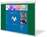 Maveridge online