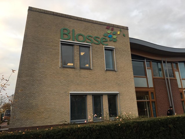 Blosse gevel 1